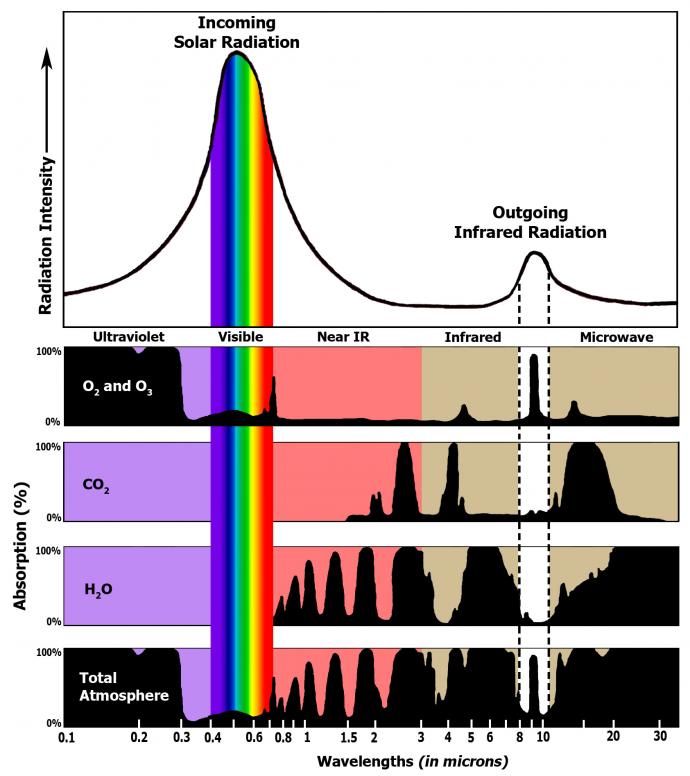 Color Absorption Spectra